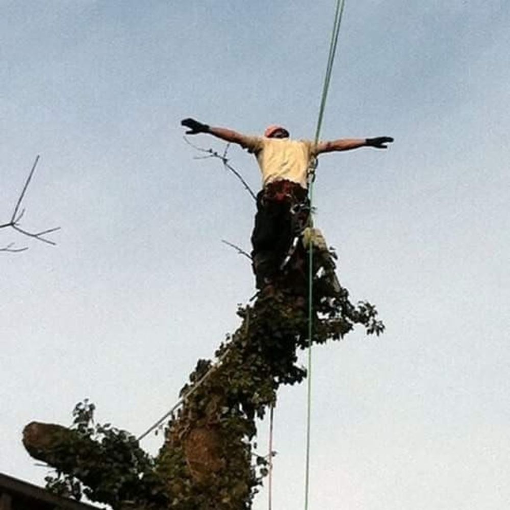 Meet your Posher, Aaron